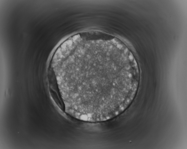 X0000084530816200703231651