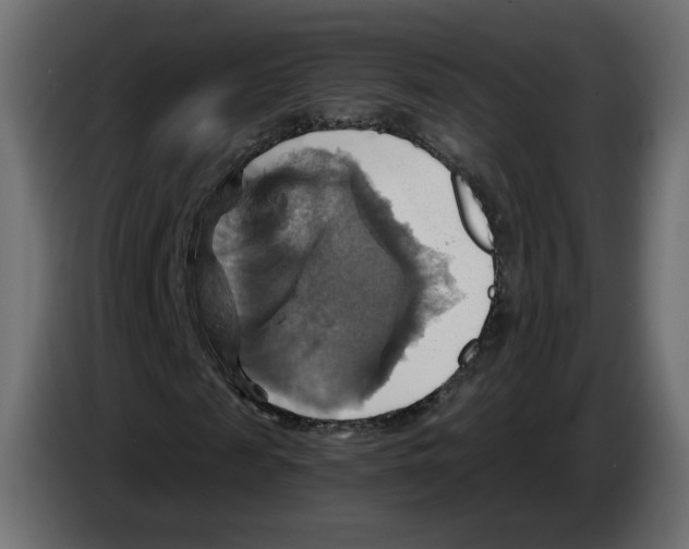X0000084530817200703231650