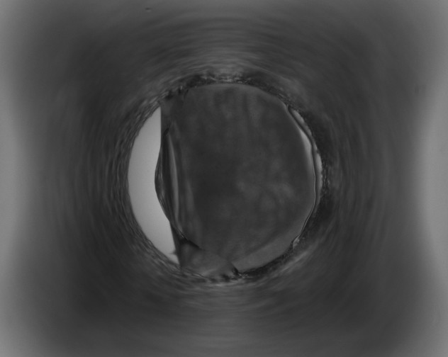 X0000084530818200703231650