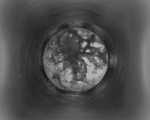 X0000084530819200703231650