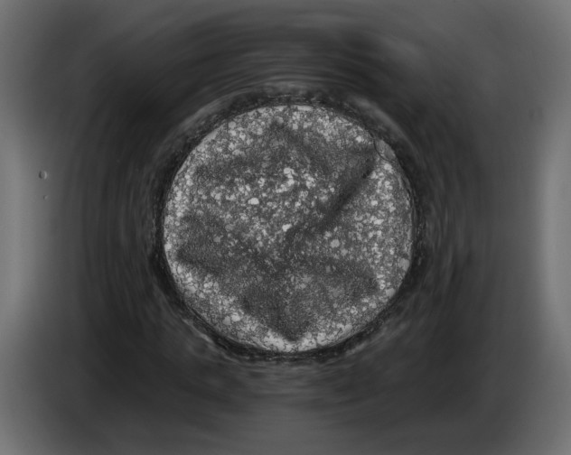 X0000084530821200703231650