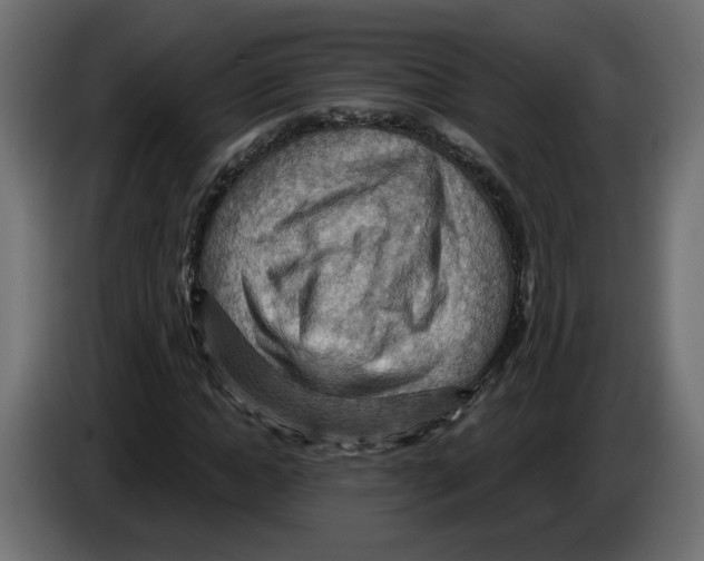 X0000084530822200703231650