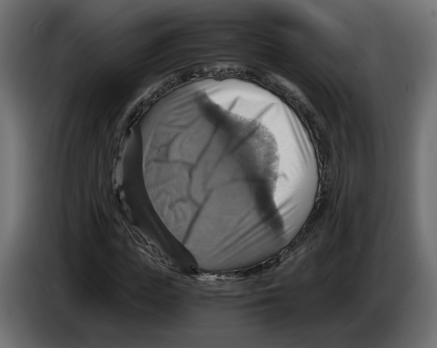X0000084530823200703231650