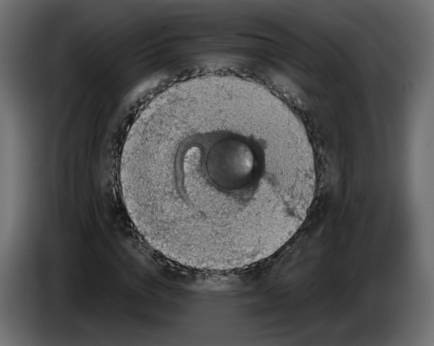 X0000084530824200703231650