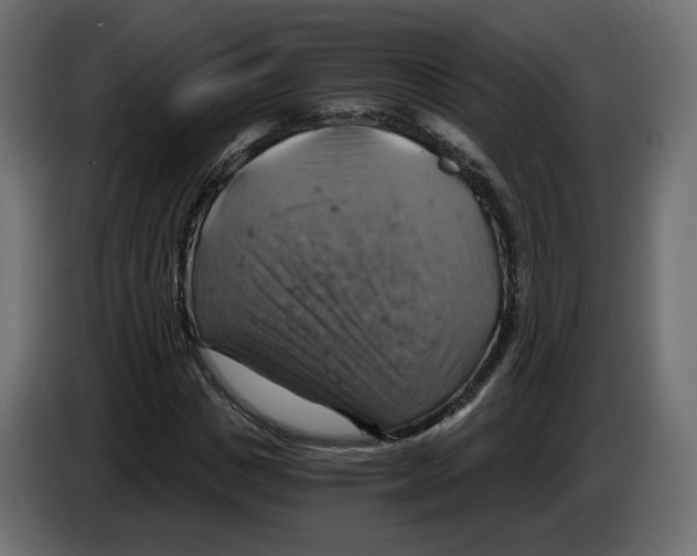 X0000084530825200703231650