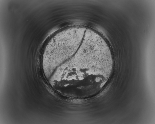 X0000084530827200703231650