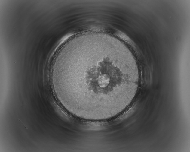 X0000084530828200703231650