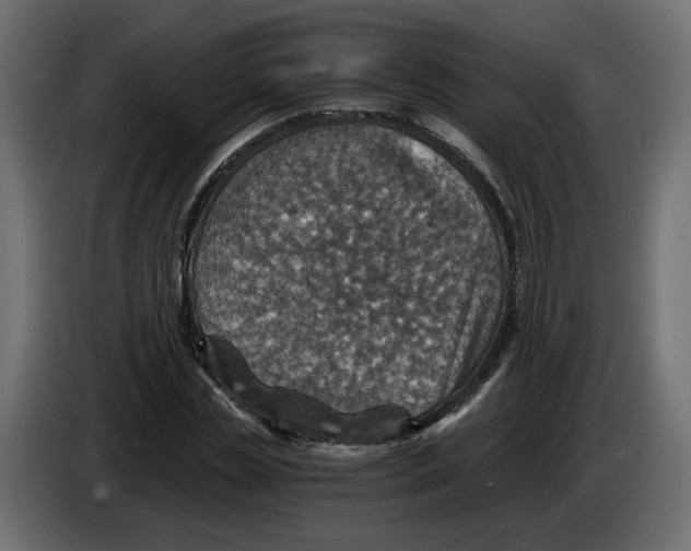 X0000084530829200703231650