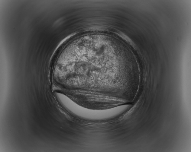 X0000084530830200703231650