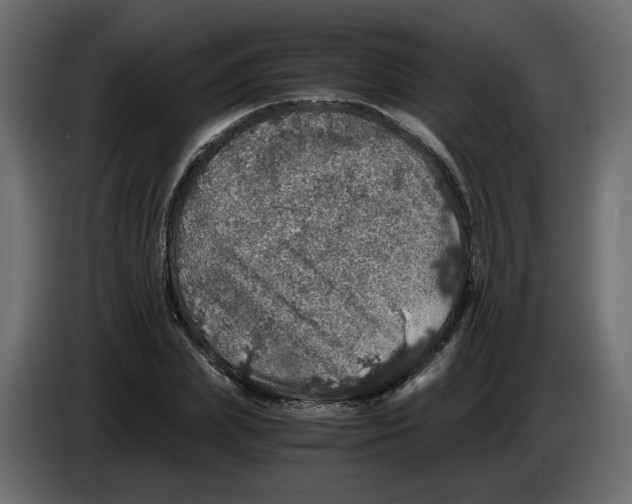 X0000084530831200703231650