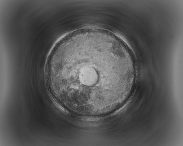 X0000084530832200703231650