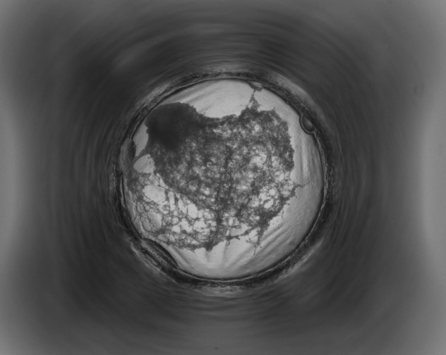 X0000084530833200703231650