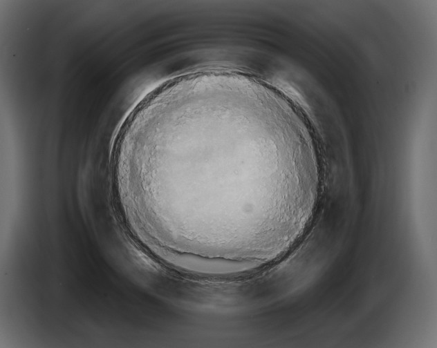 X0000084530836200703231650