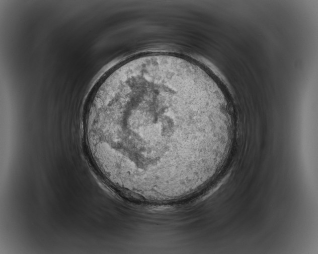 X0000084530837200703231650