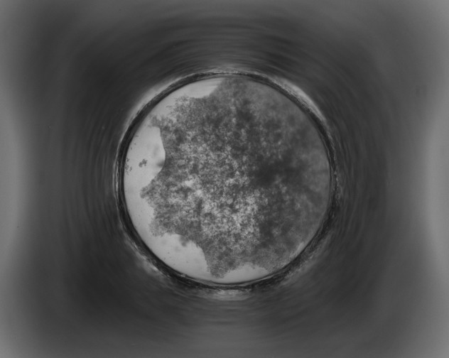 X0000084530839200703231651