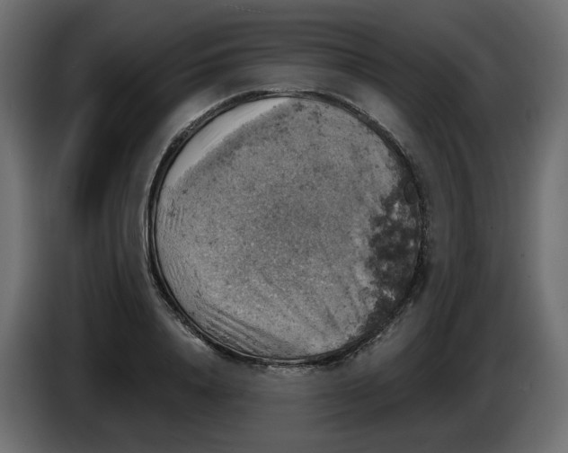 X0000084530840200703231651