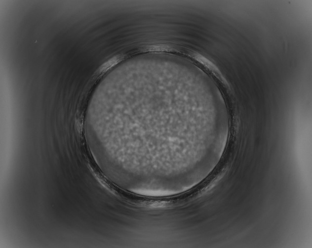 X0000084530841200703231651