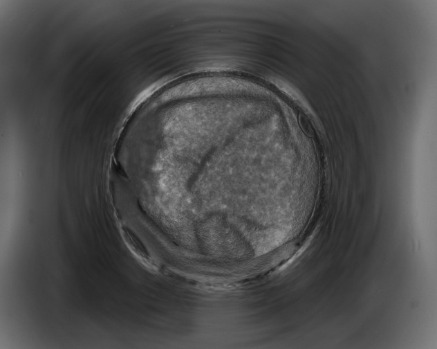 X0000084530842200703231651