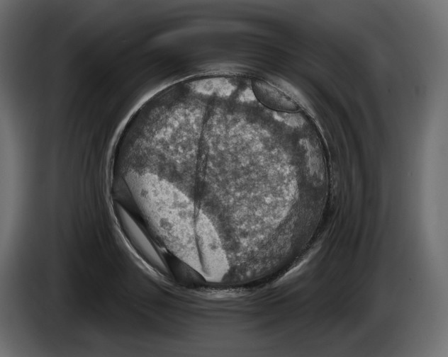 X0000084530843200703231651