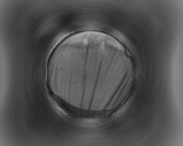 X0000084530844200703231651