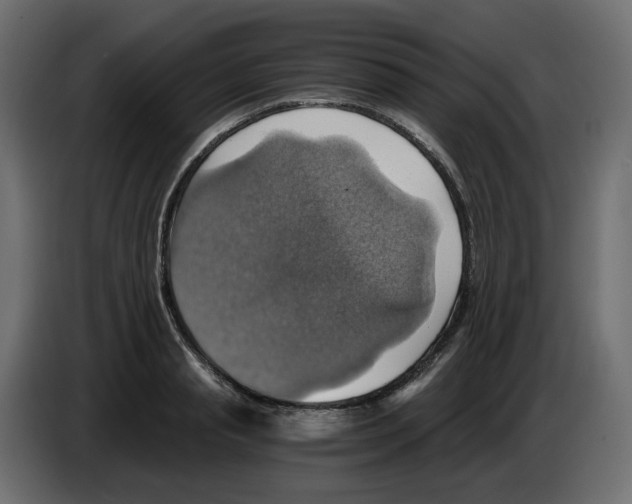 X0000084530845200703231651