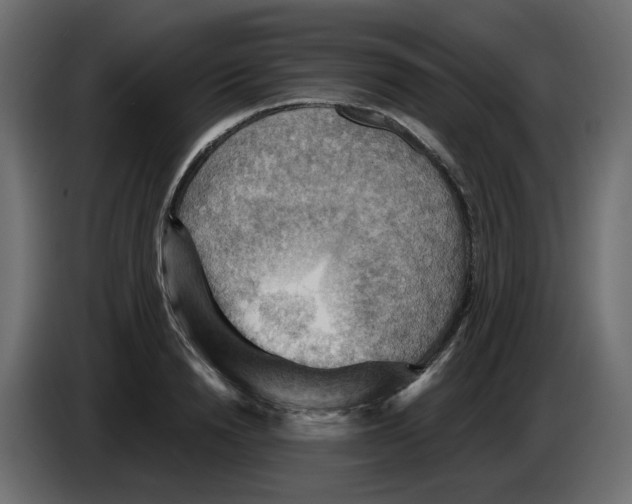 X0000084530846200703231651