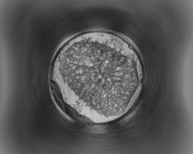 X0000084530847200703231651