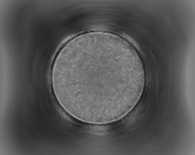 X0000084530848200703231651
