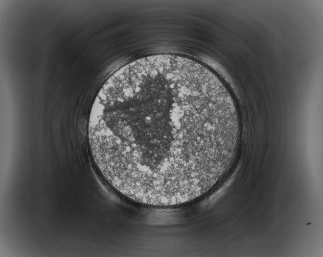 X0000084530849200703231651