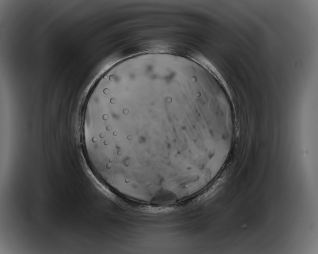 X0000084530851200703231651