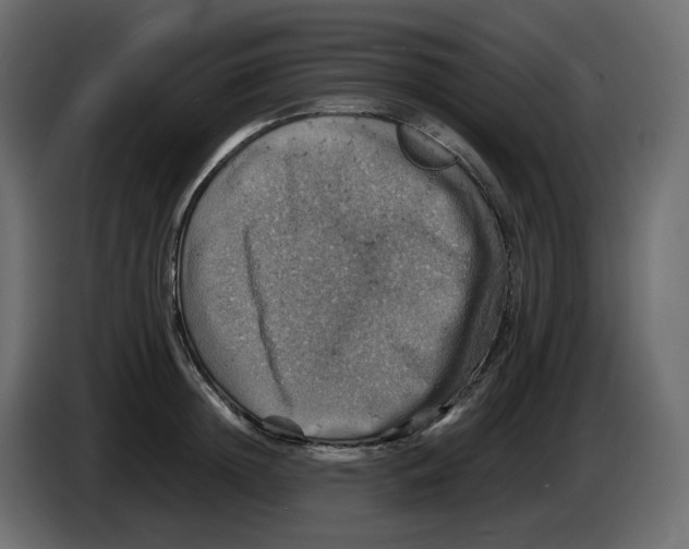 X0000084530852200703231651