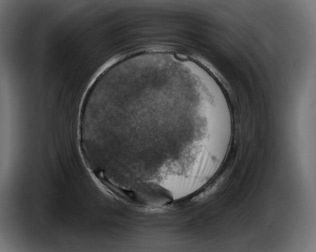 X0000084530853200703231651