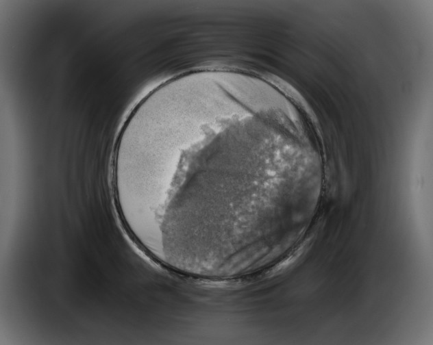 X0000084530855200703231651