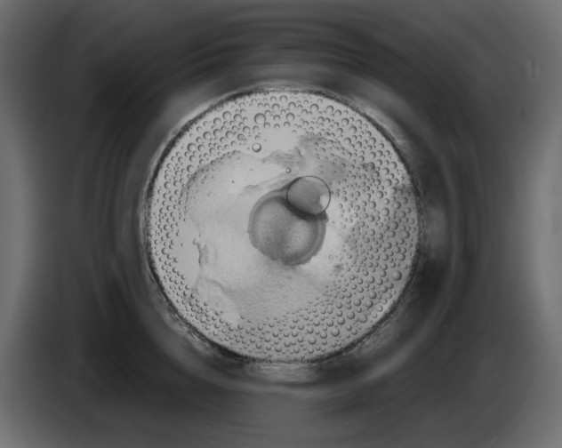 X0000084530856200703231651