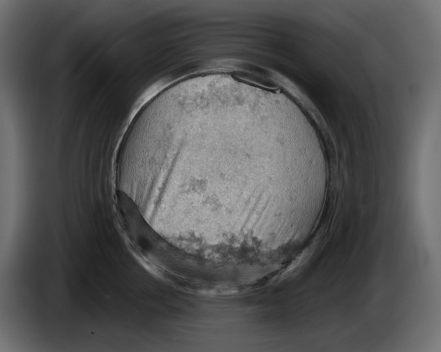 X0000084530858200703231651