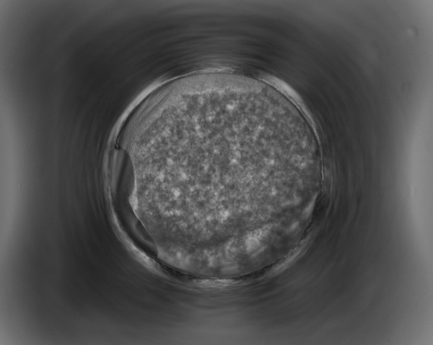 X0000084530859200703231651