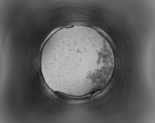 X0000084530860200703231651