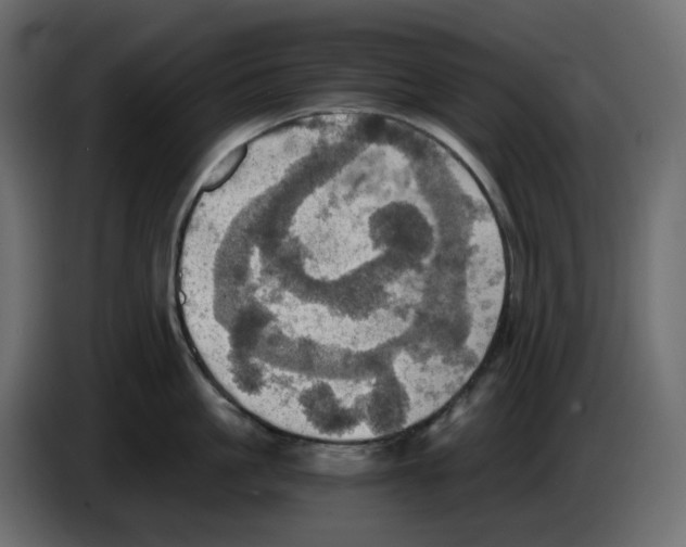 X0000084530861200703231651