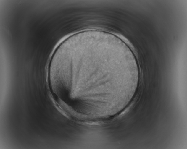 X0000084530862200703231651