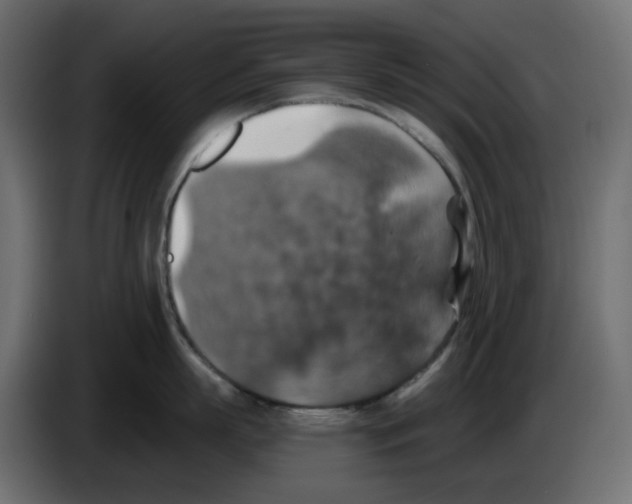 X0000084530863200703231651