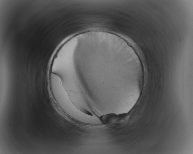 X0000084530864200703231651