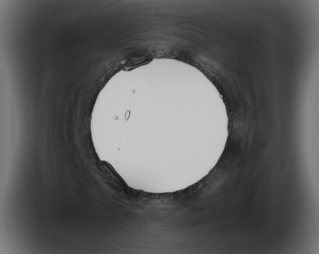 X0000084530865200703231650