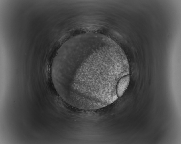 X0000084530866200703231650