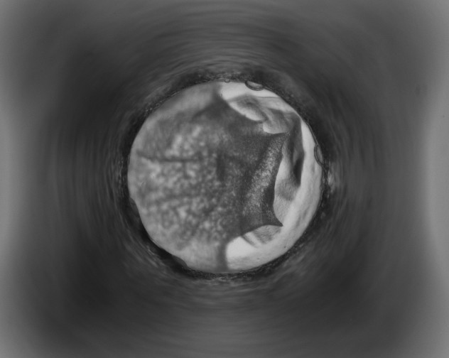 X0000084530867200703231650