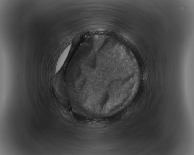 X0000084530868200703231650