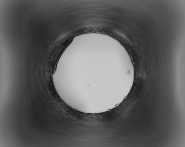 X0000084530869200703231650