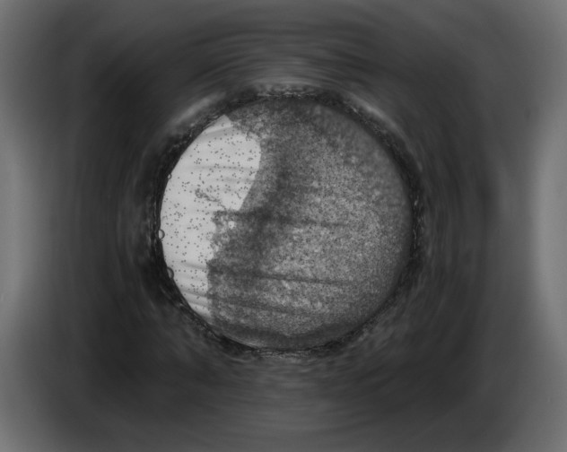 X0000084530870200703231650