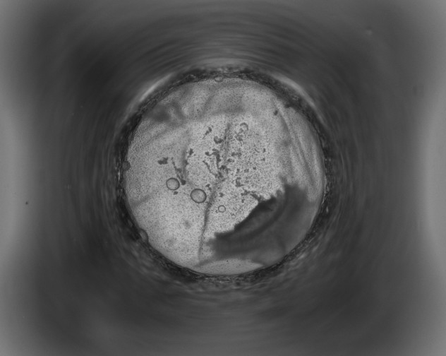 X0000084530871200703231650