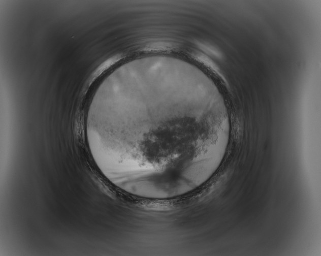 X0000084530874200703231650