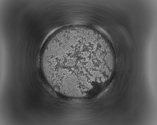 X0000084530875200703231650